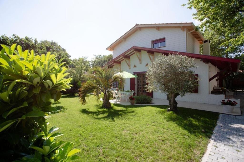 Villa Robert Shumann, A 700 M De La Plage Andernos-les-Bains Exterior foto