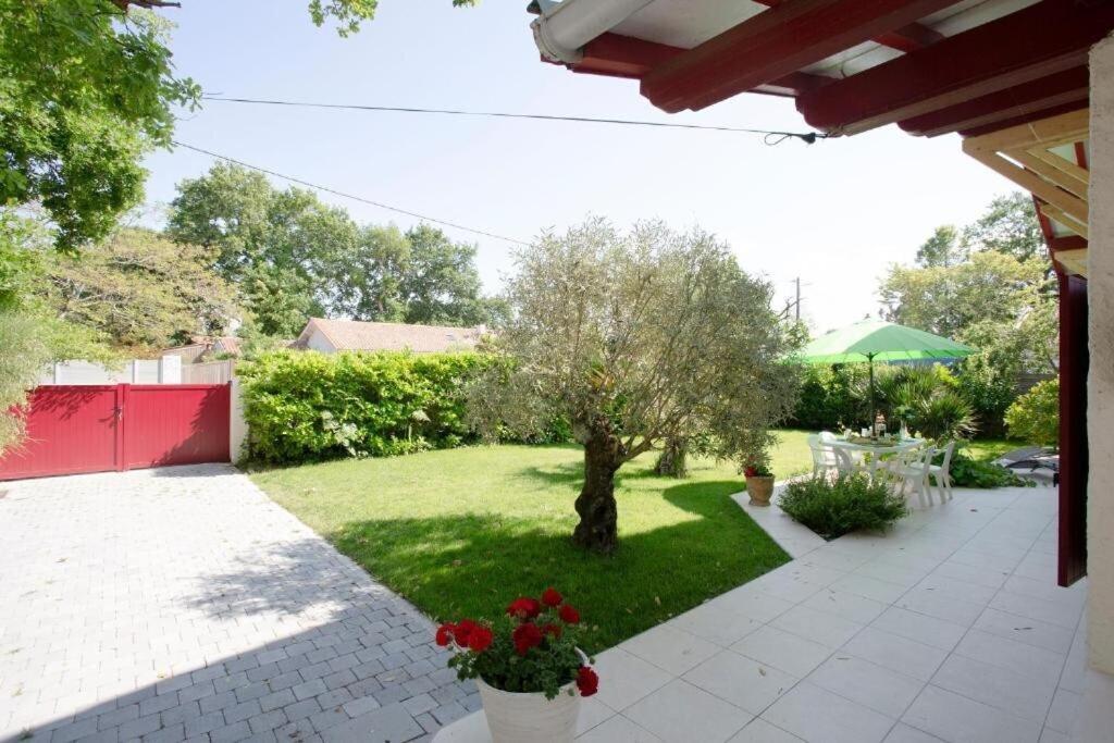 Villa Robert Shumann, A 700 M De La Plage Andernos-les-Bains Exterior foto